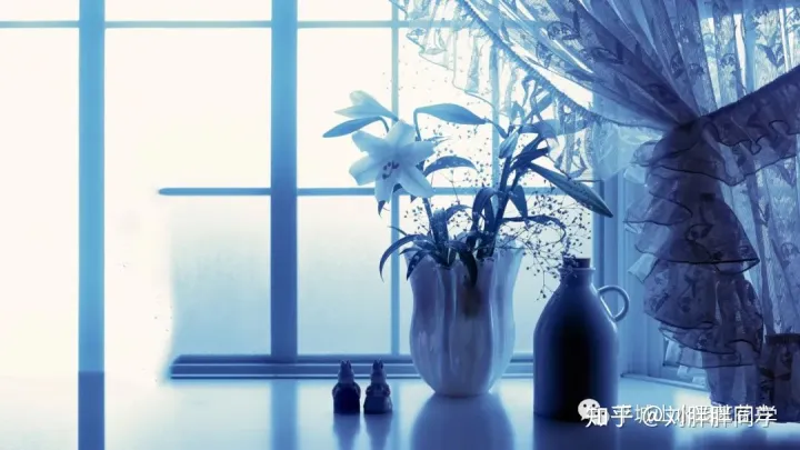 一 新手适合养什么花好活,新手养花攻略
