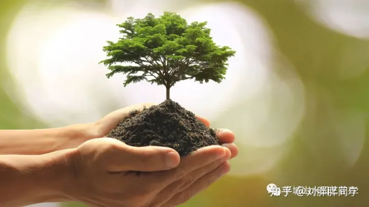 一 新手适合养什么花好活,新手养花攻略