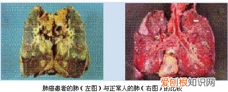 化学第九章知识点归纳，中考化学——第十二单元化学与生活基本知识与方法