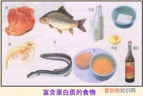 化学第九章知识点归纳，中考化学——第十二单元化学与生活基本知识与方法