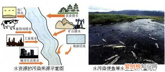 化学第九章知识点归纳，中考化学——第十二单元化学与生活基本知识与方法