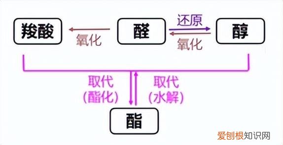 高中化学常识题知识点，高中化学常考知识点，记得收藏