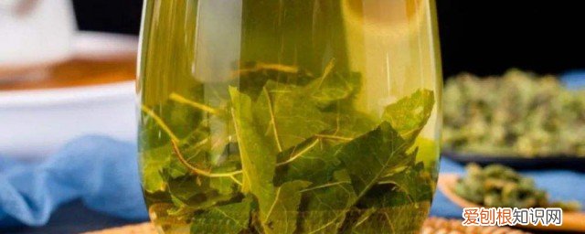 桑茶冲泡方法 桑茶如何正确冲泡呢