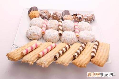 宠主们应该知道的宠物常识是什么,宠主们应该知道的宠物常识