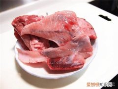 宠主们应该知道的宠物常识是什么，宠主们应该知道的宠物常识