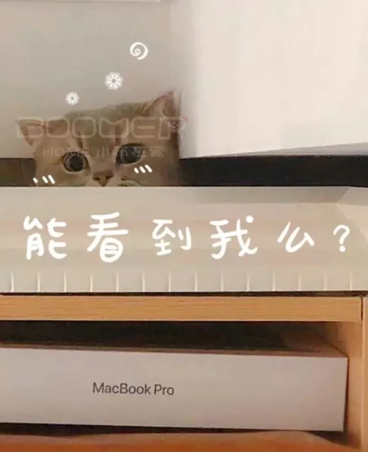 有什么有趣的宠物名字好听，关于宠物的趣味知识，求分享？