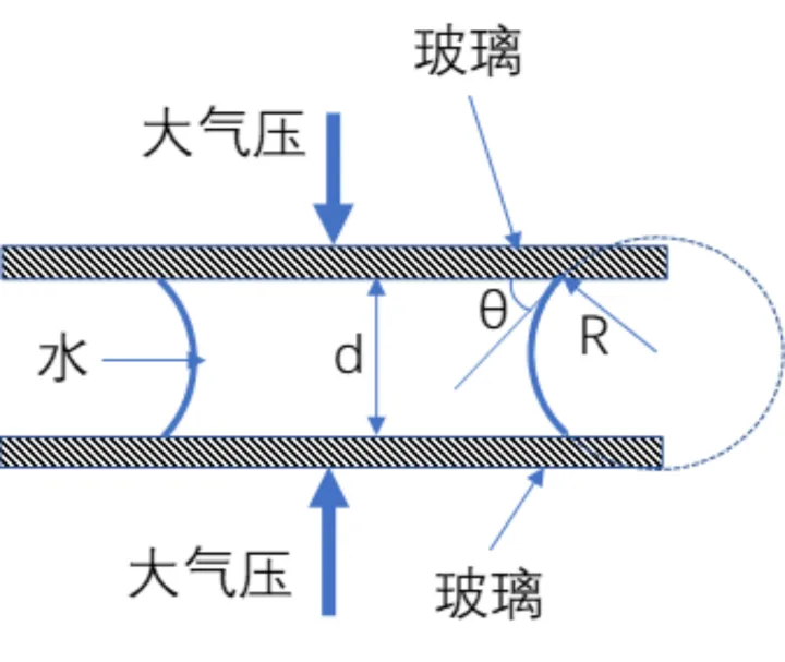 你知道的生活小常识有哪些英语作文，你知道的生活小常识有哪些？