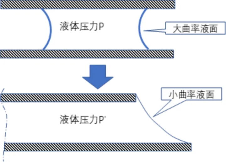 你知道的生活小常识有哪些英语作文，你知道的生活小常识有哪些？
