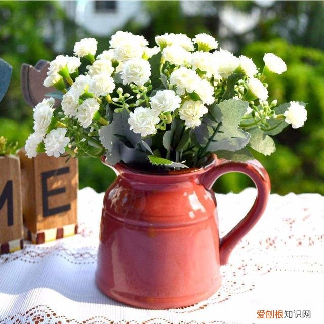 养花怎么防止烂根,养花的5个“窍门”,简单实用,花长得茂盛不怕烂根!