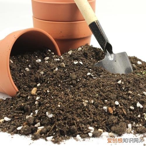 弄懂这7个养花绝技下一句，想要快速养好植物，必备这5种养花小技巧，快看看你都知道吗？