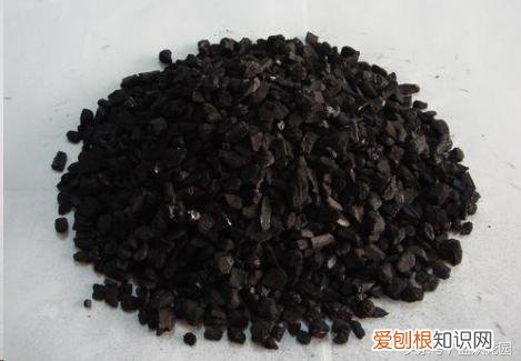 养花小知识一般养花多久,这些养花技巧,养花的人都应该知道?