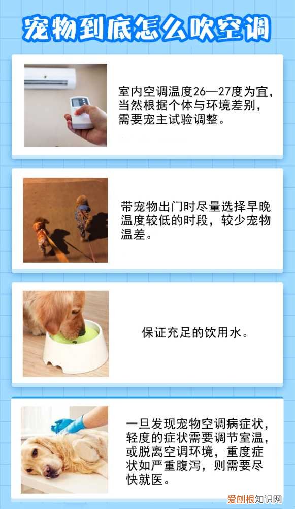 狗狗中暑什么样 中暑还是空调病，狗狗必须选一个？