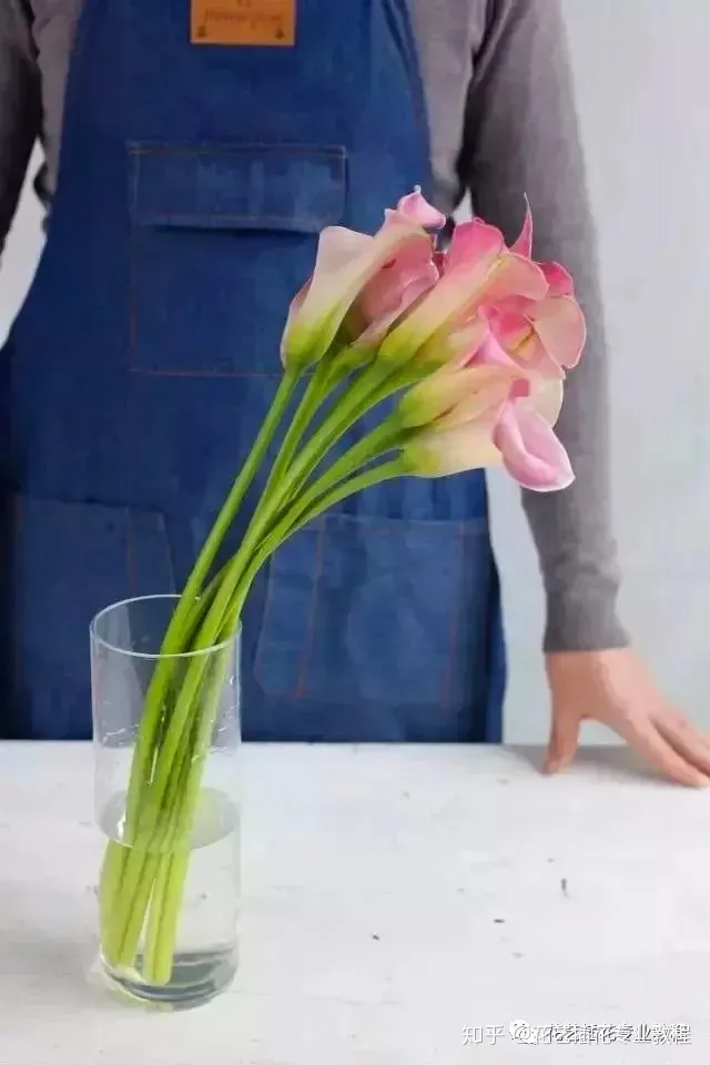 鲜花的养护，鲜花养护|家庭6种常见花材详细养护方法