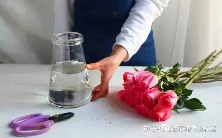 鲜花的养护，鲜花养护|家庭6种常见花材详细养护方法