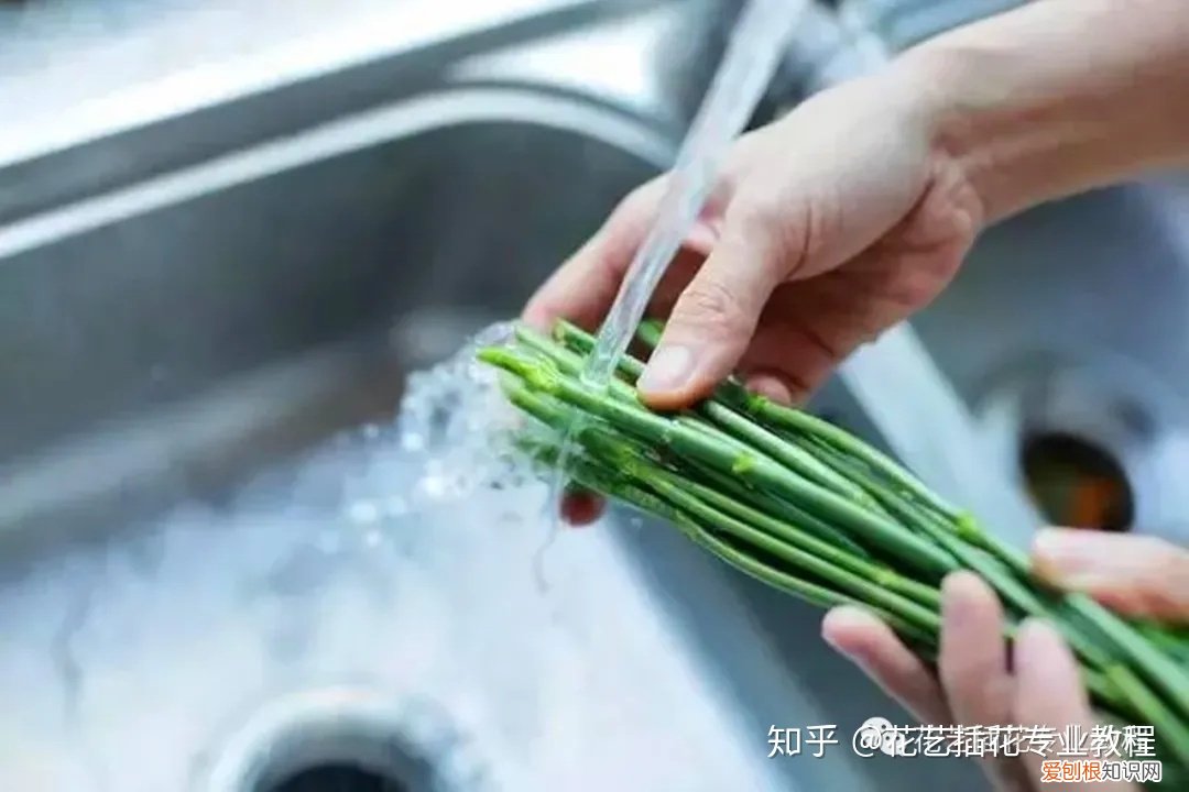 鲜花的养护，鲜花养护|家庭6种常见花材详细养护方法