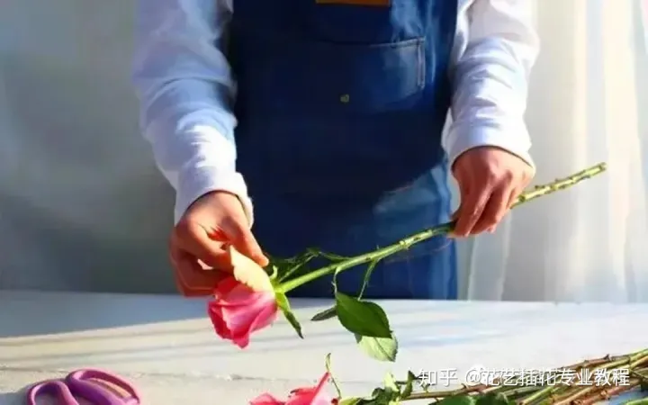 鲜花的养护，鲜花养护|家庭6种常见花材详细养护方法