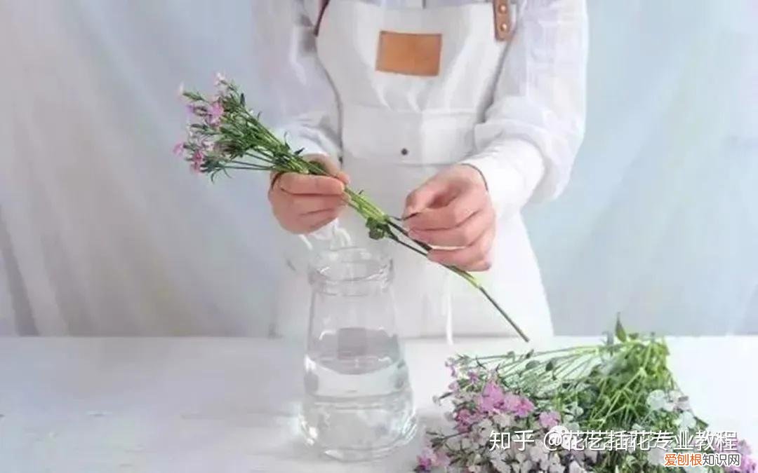 鲜花的养护，鲜花养护|家庭6种常见花材详细养护方法