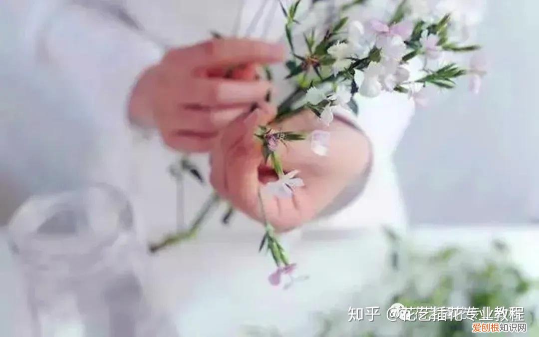 鲜花的养护，鲜花养护|家庭6种常见花材详细养护方法