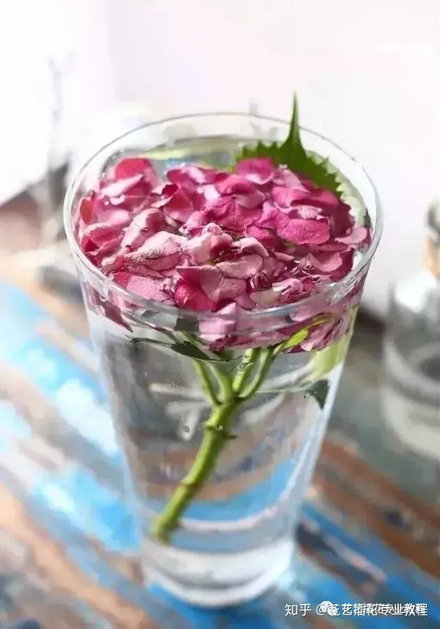 鲜花的养护，鲜花养护|家庭6种常见花材详细养护方法