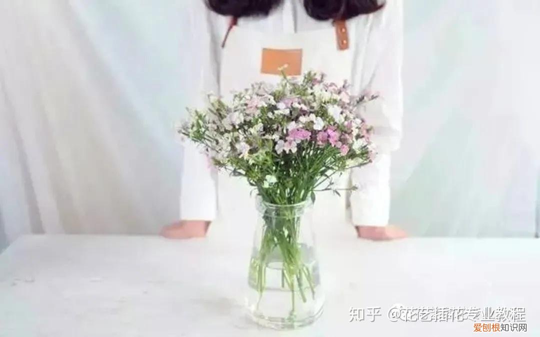 鲜花的养护，鲜花养护|家庭6种常见花材详细养护方法