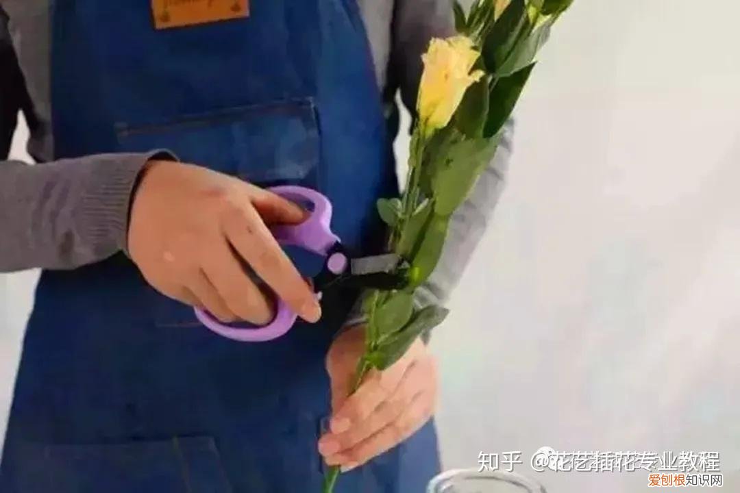 鲜花的养护，鲜花养护|家庭6种常见花材详细养护方法