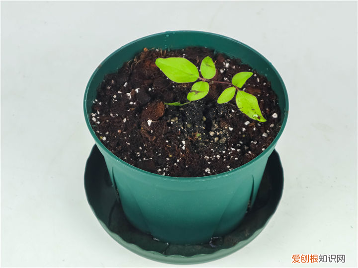 养护别稀里糊涂，弄清楚这4点基础知识，很重要