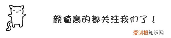 狗狗冷知识百科大全,15条狗狗冷知识,养狗多年的你,未必全知道
