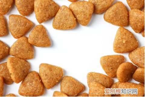 狗狗冷知识百科大全,15条狗狗冷知识,养狗多年的你,未必全知道