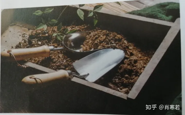 养花知识养花百科，养花品生活，新手所需要知道的基础知识