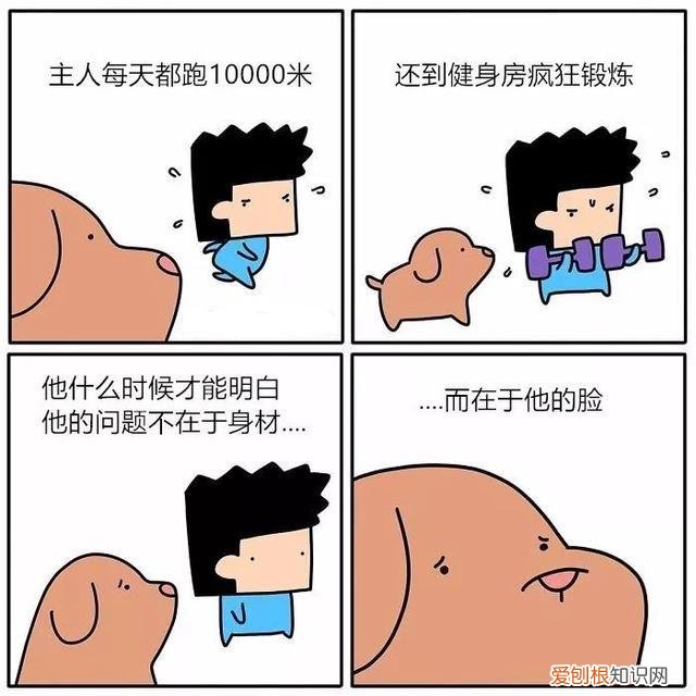 奇葩的宠物狗，20个关于宠物的奇葩冷知识，感觉白当了这么多年的铲屎官