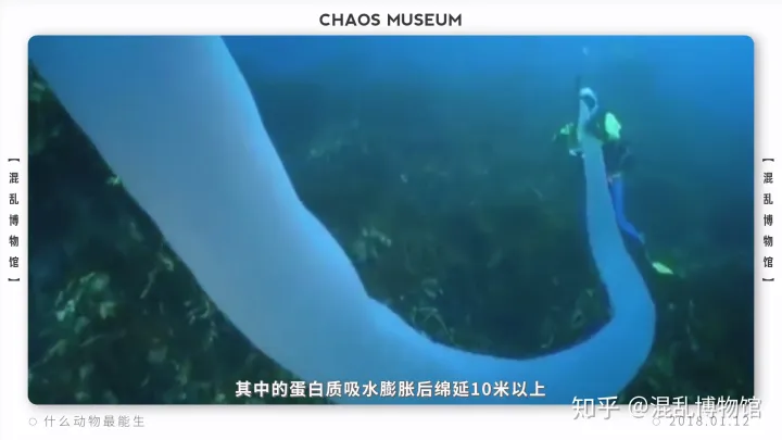 有趣的动物 冷知识，动物有哪些冷知识？