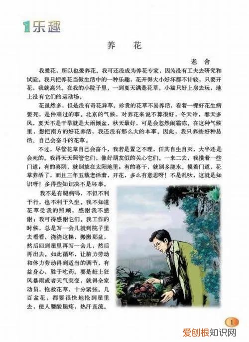 养花 读老舍的养花我能想到什么的情景，读老舍完后的感想