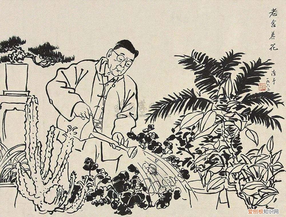 养花 读老舍的养花我能想到什么的情景，读老舍完后的感想