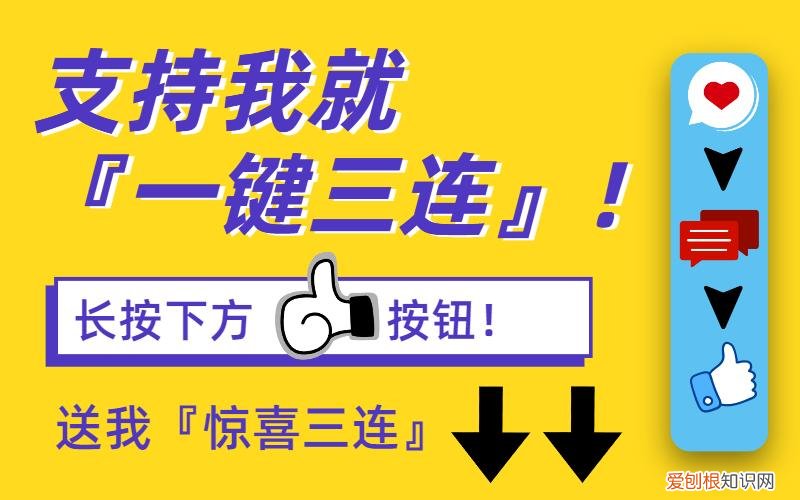 养狗小常识100，60条养狗知识，这些你都了解吗？建议收藏