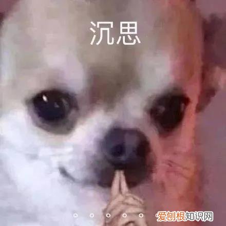 红伞伞,白杆杆,吃完就去躺板板 危！红伞伞，白杆杆，狗狗吃完躺板板！