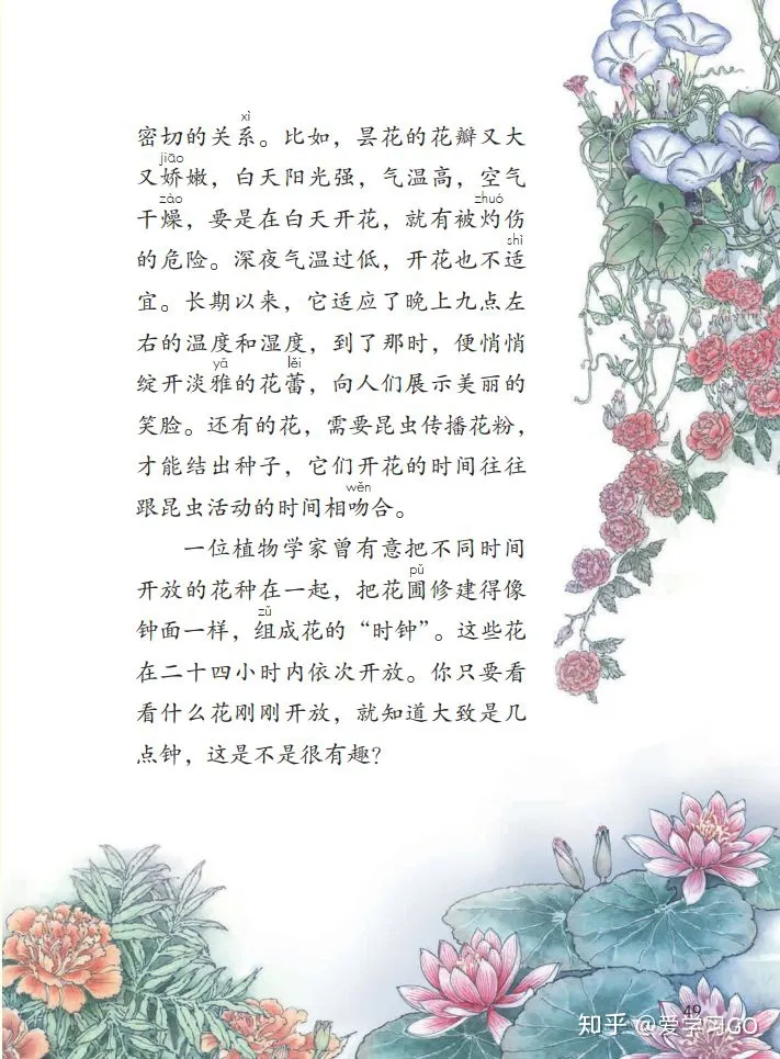 部编版三年级下册花钟第二课时教学设计，部编版三年级下册第13课《花钟》图文讲解+知识点梳理