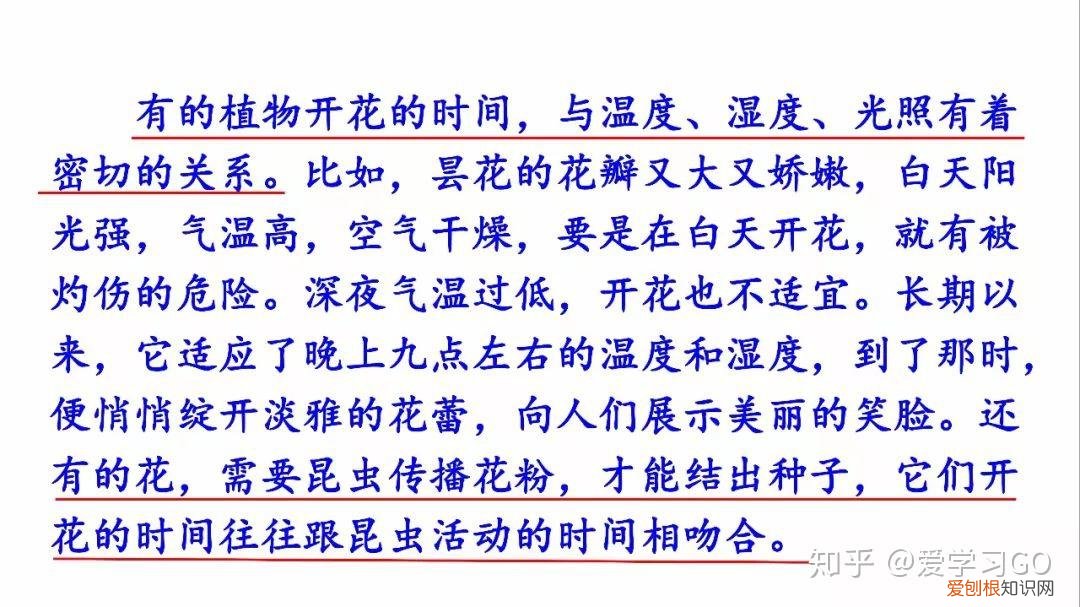 部编版三年级下册花钟第二课时教学设计，部编版三年级下册第13课《花钟》图文讲解+知识点梳理