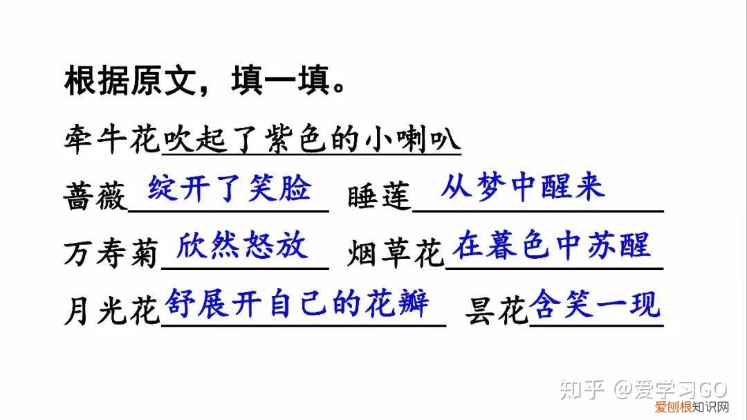 部编版三年级下册花钟第二课时教学设计，部编版三年级下册第13课《花钟》图文讲解+知识点梳理
