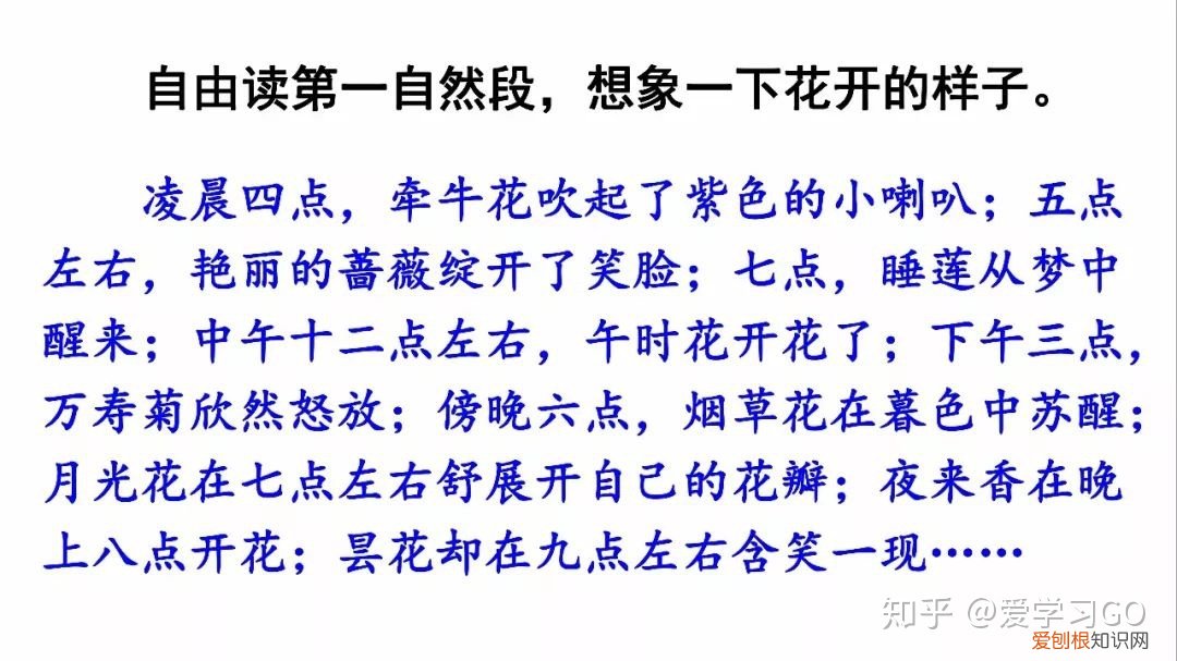 部编版三年级下册花钟第二课时教学设计，部编版三年级下册第13课《花钟》图文讲解+知识点梳理