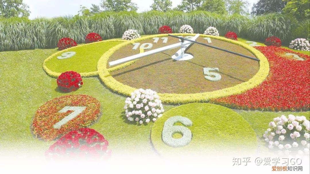 部编版三年级下册花钟第二课时教学设计，部编版三年级下册第13课《花钟》图文讲解+知识点梳理