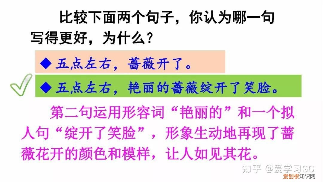 部编版三年级下册花钟第二课时教学设计，部编版三年级下册第13课《花钟》图文讲解+知识点梳理