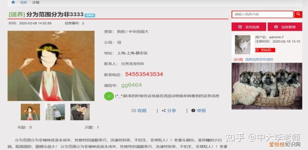 流浪动物救助策划案，流浪动物救助平台的设计与实现