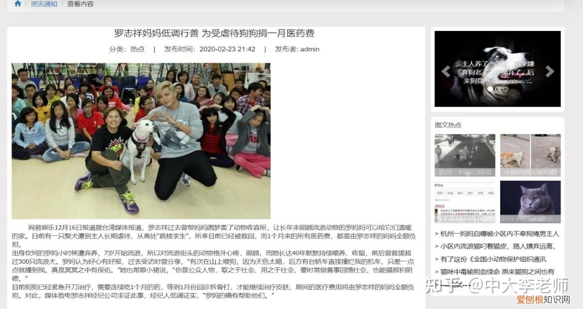 流浪动物救助策划案，流浪动物救助平台的设计与实现