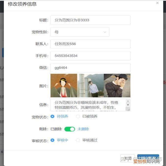 流浪动物救助策划案，流浪动物救助平台的设计与实现