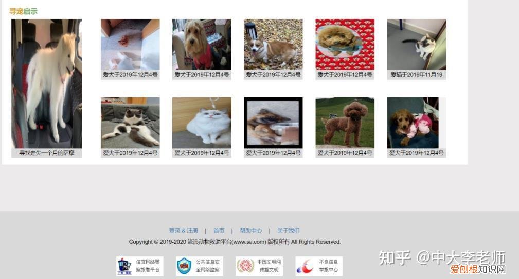 流浪动物救助策划案，流浪动物救助平台的设计与实现