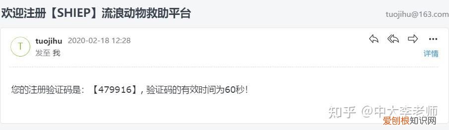 流浪动物救助策划案，流浪动物救助平台的设计与实现