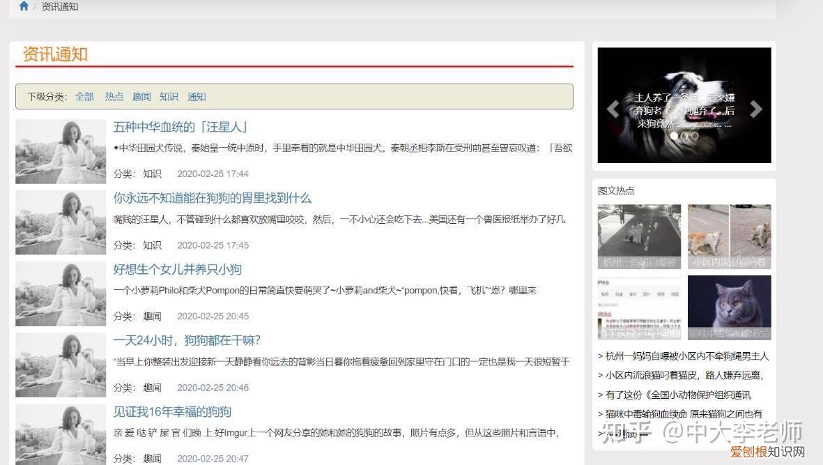 流浪动物救助策划案，流浪动物救助平台的设计与实现
