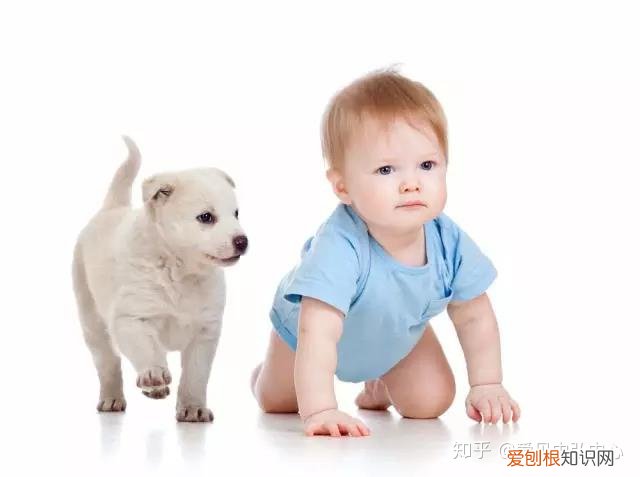0~6岁早教知识大全，育儿知识分享—-0-6岁最全儿童敏感期列表