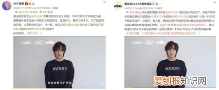 关爱动物主题班会，关爱宠物公益在行动，爱肯拿以“精细化喂养”守护宠物健康