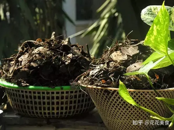 养花土用什么土比较好?，养花用土学问大，一篇文章教你识土、用土！